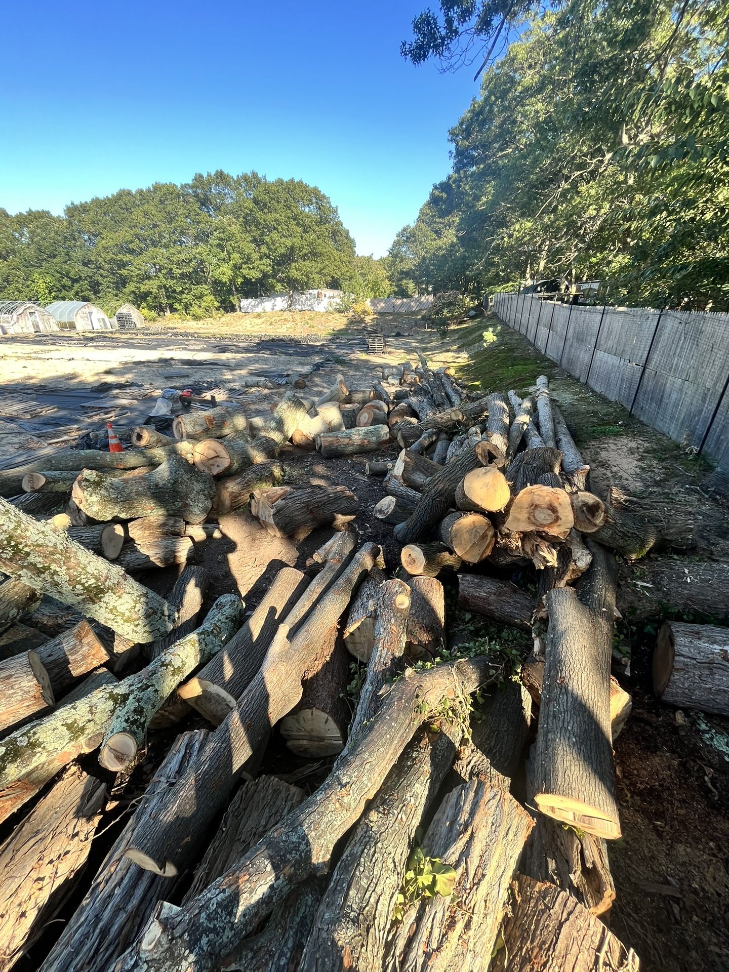 Free Firewood Long Pieces