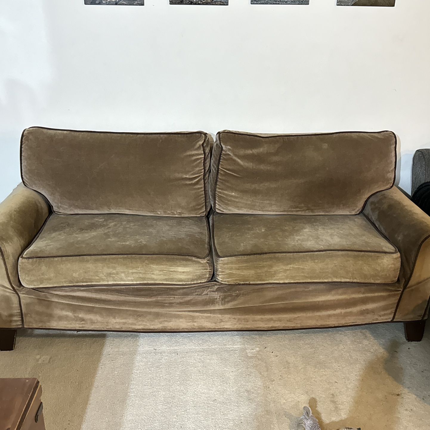 FREE Olive Colored Couch
