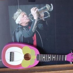 Pineapple (Extra Loud) Soprano 21" Concert UKULELE