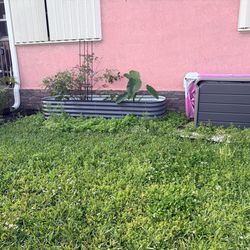 Vego garden raised bed