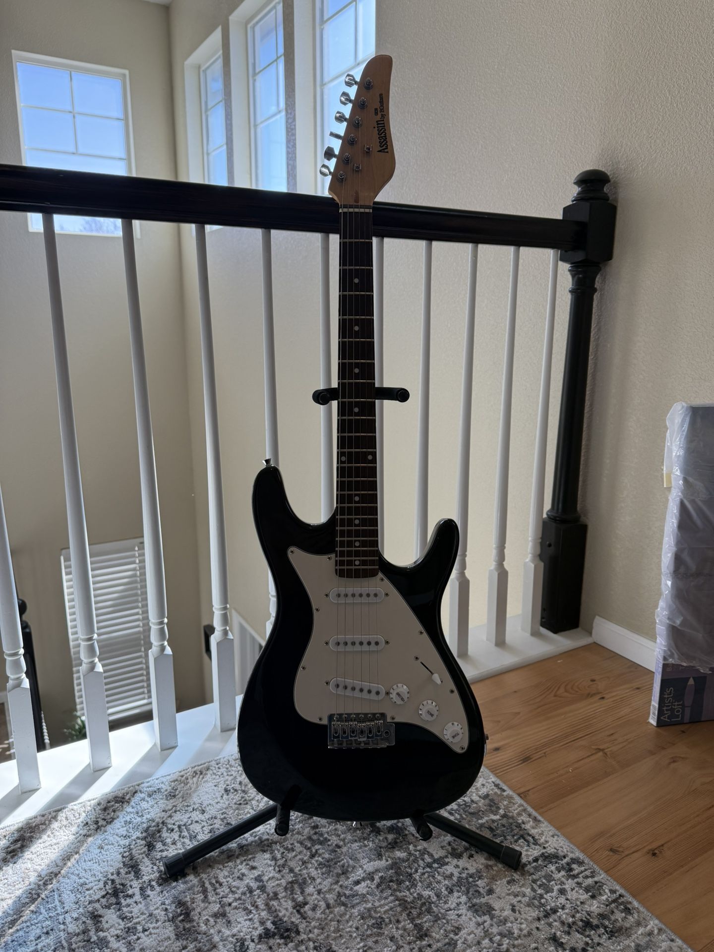 BGuitars Assassin GE30 Electric Guitar