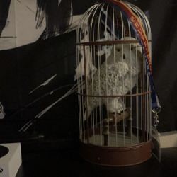 Hedwig Statue From Universal Studios FL