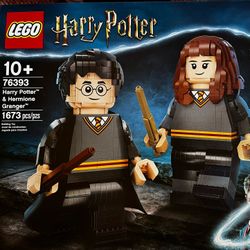 Lego Harry Potter And Hermione Granger Set #76393