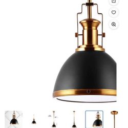 Homer 10" 1-Light Modern Industrial Iron LED Dome Pendant, Black/ Brass Gold