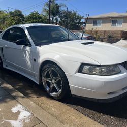 1999 Ford Mustang