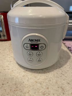 Rice maker/steamer