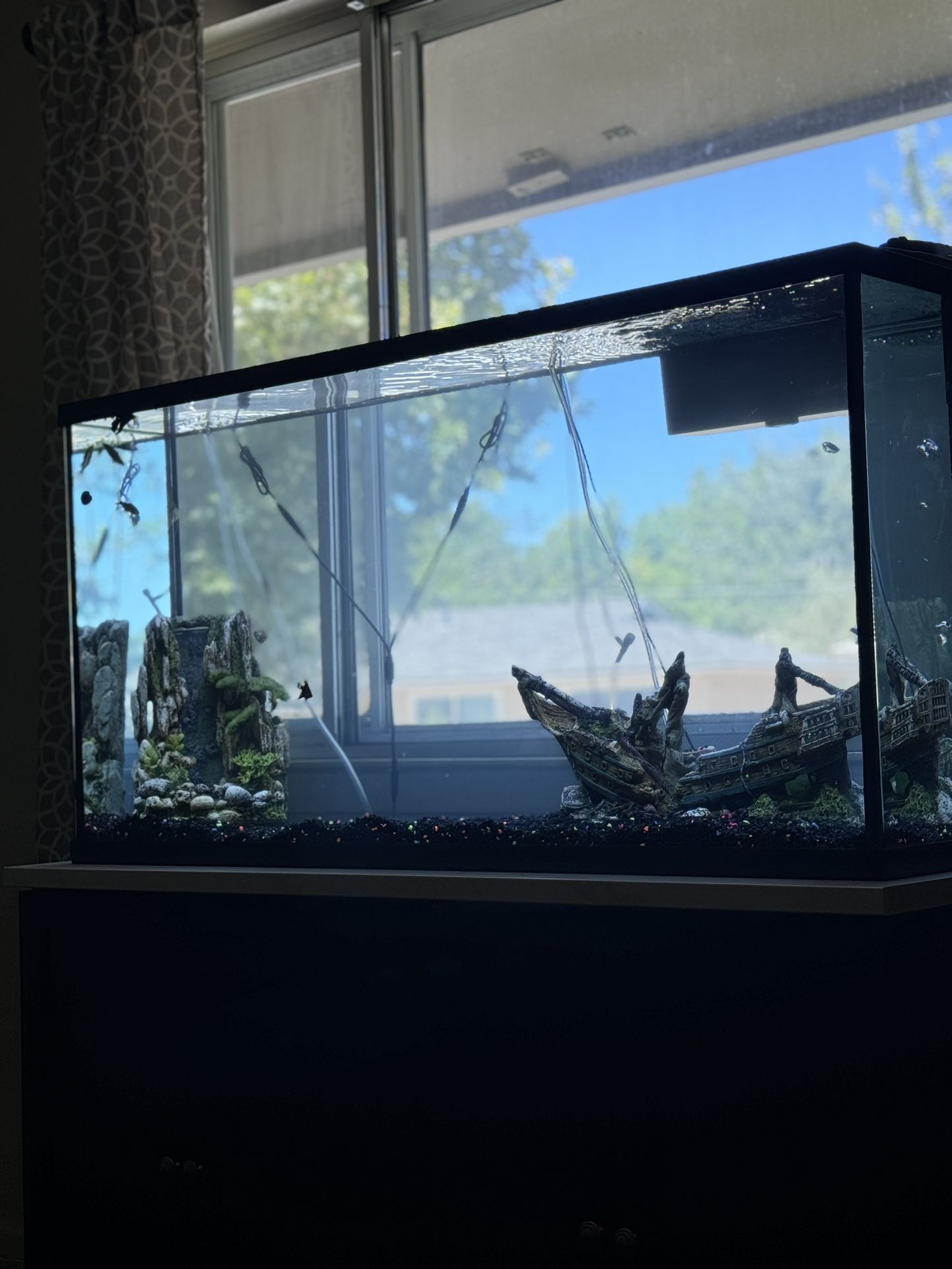 Fish Tank For Sale With Stand