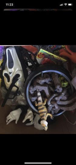 Halloween props and a few masks on my page. Whole box 70 dollars