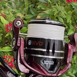 KVD Fishing Combo/Braid Line