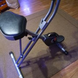 Exerpeutic Foldable Exercise Bike