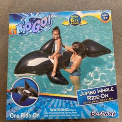 Pool Raft 