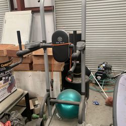 Gold Gym Ab & Pullout Rack 