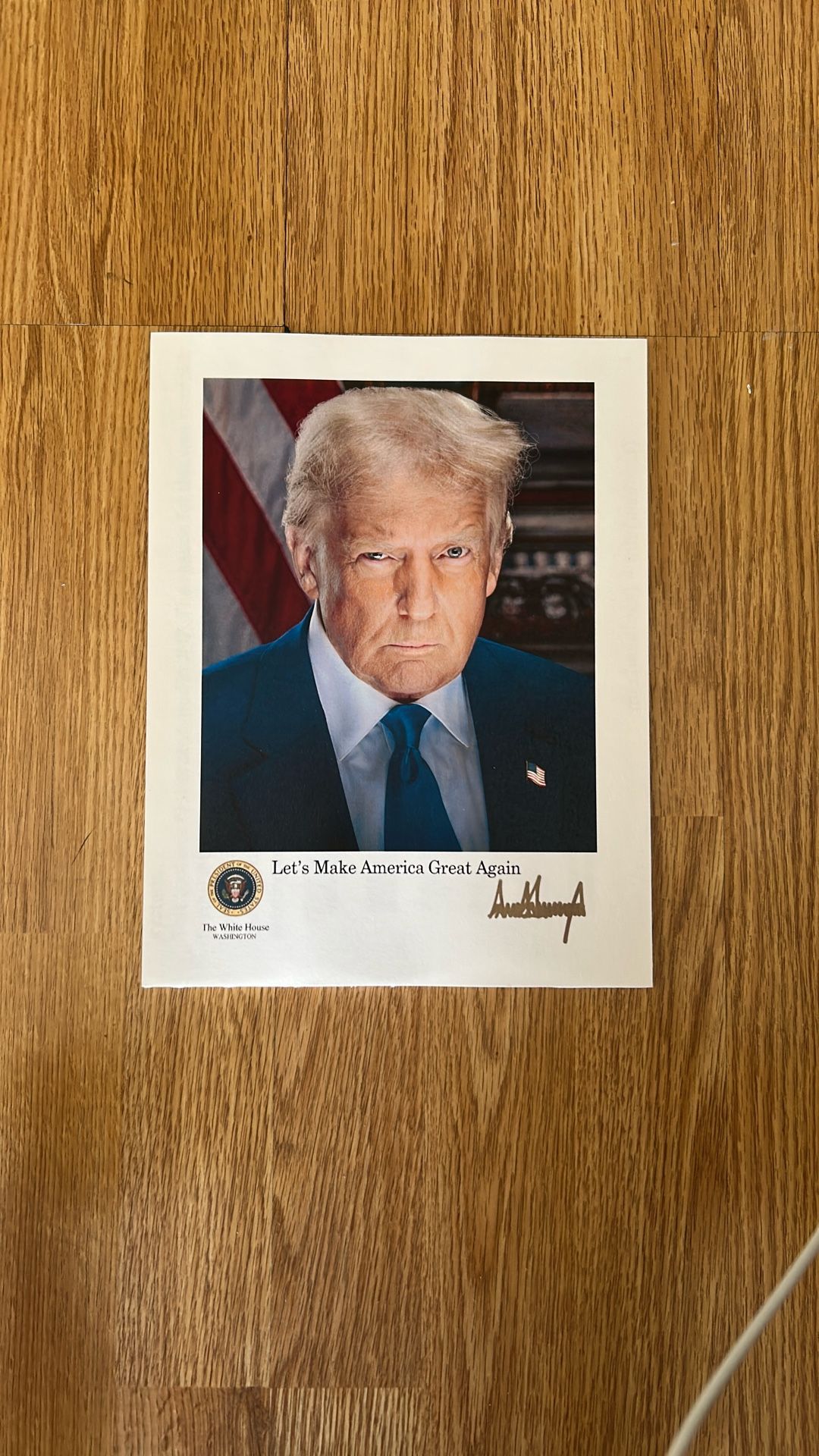 Trump Poster