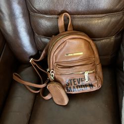 STEVE MADDEN bag