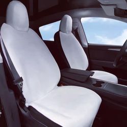 Tesla Seat Cover
