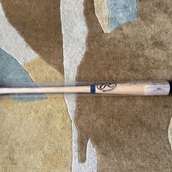Johnny Damon Autograph Bat