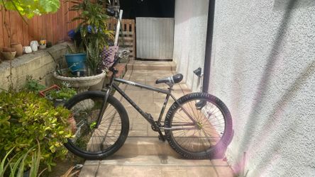 Elite bmx