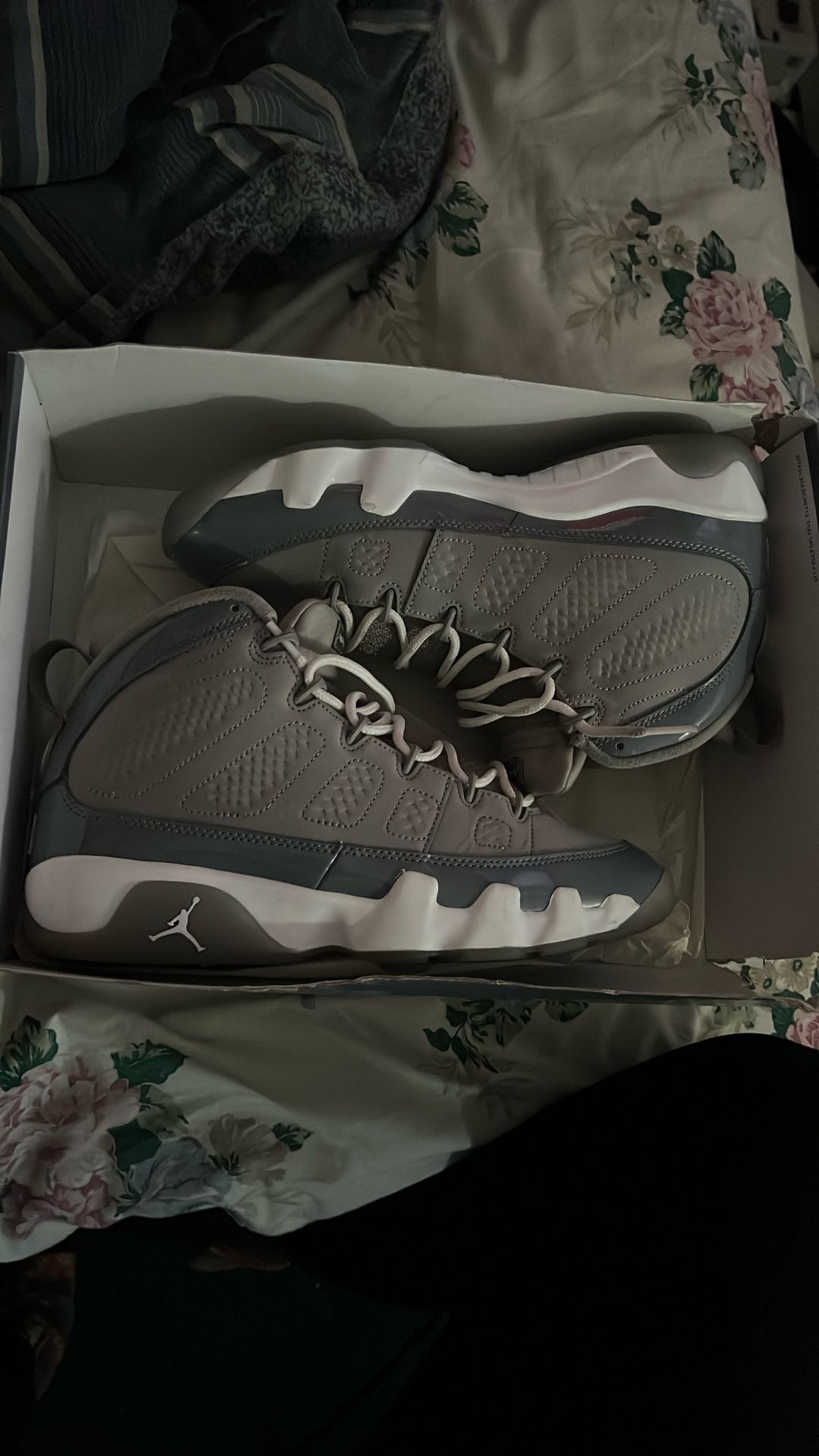 Air Jordan Retro 9 Cool Greys 