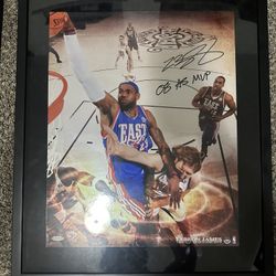 Lebron James Signed 16x20