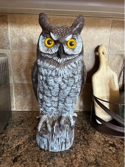 Dalen Large Fake Owl Decoy
