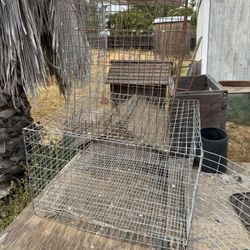 Animal Cages 