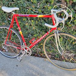 Tall rider Peugeot Triathlon 12 speed lightweight