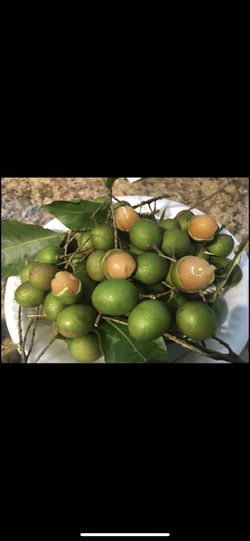 Mamoncillos / Quenepa