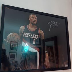 Sports Cards And Mem