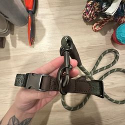 Dog Collar + Leash 