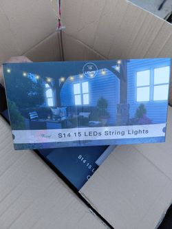 Festival Depot S14 15 LED String Lights