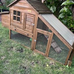Chicken Or Quails House 