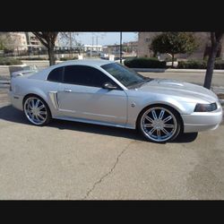 04 GT 40th Edition Mustang Have All Papers Behind On Tags the Licences Plate Was Stolen 150000 Miles Runs Great No Check Engine Lite 