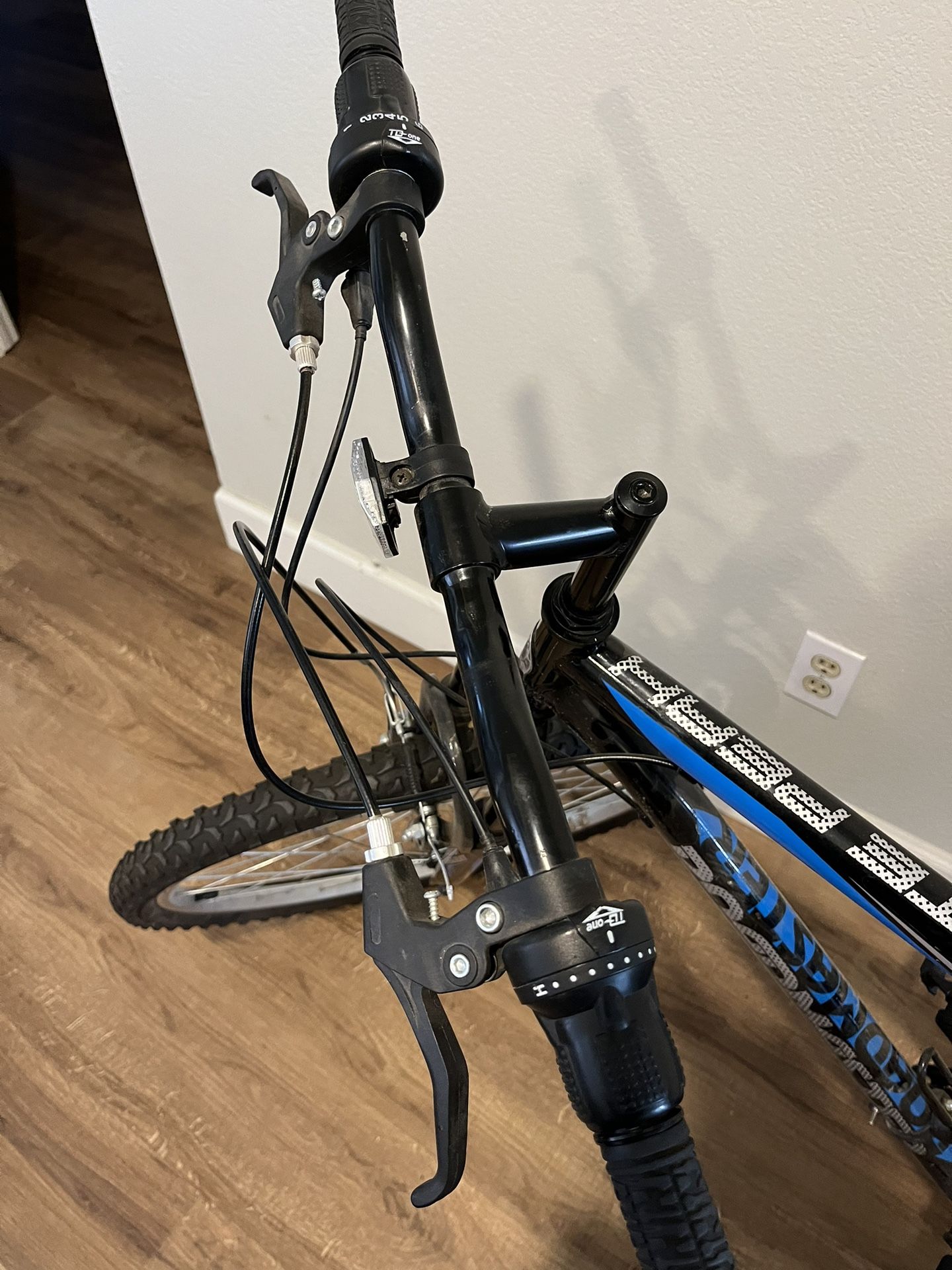 roadmaster men's bike