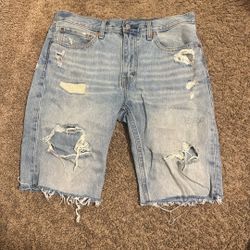 Levi jorts 
