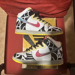 Trashin Nike Sb Sz10