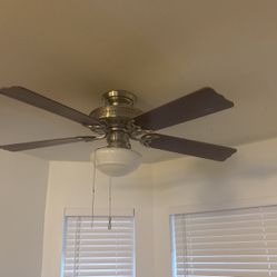 Ceiling Fan