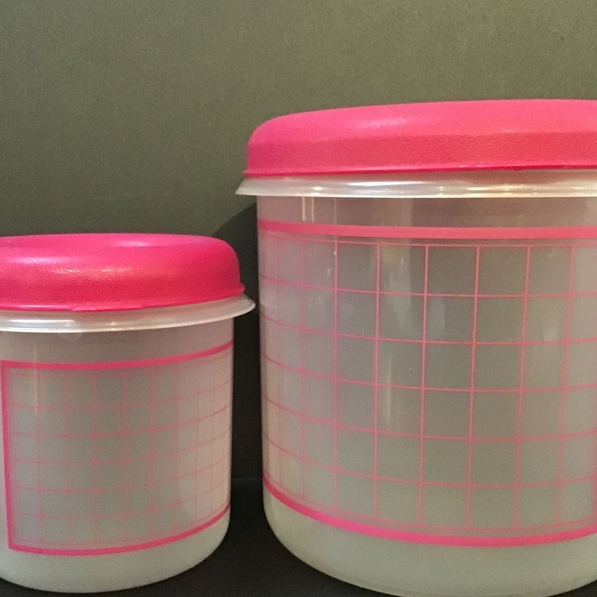 2pcs Storage Container w/ Lid