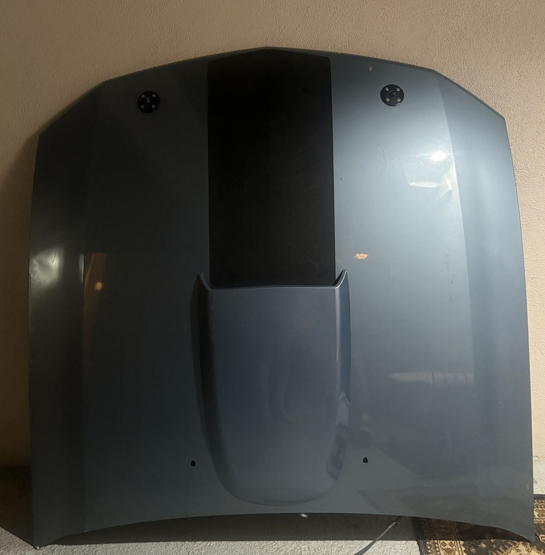 Ford Mustang Hood (2005-2010)