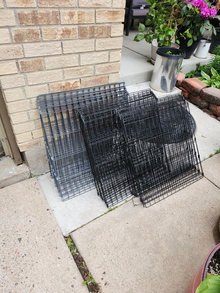 Puppy Dog Fence