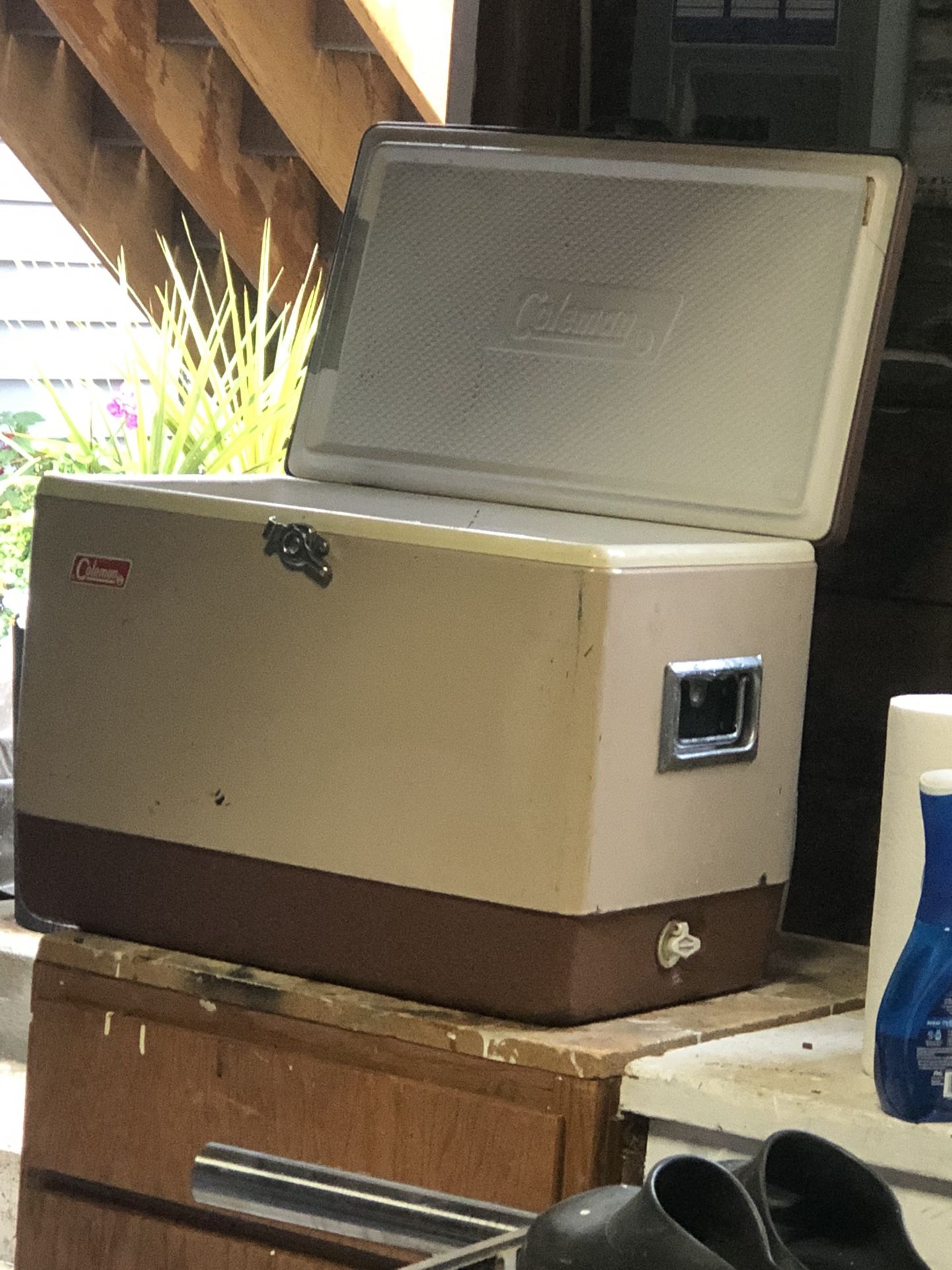 Coleman Cooler VINTAGE 