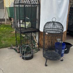 Bird Cages