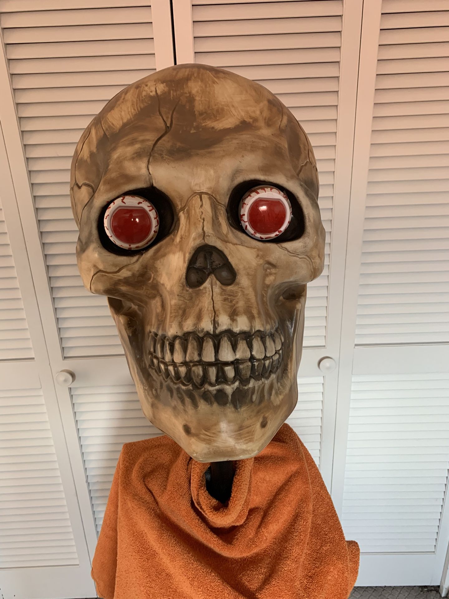 Halloween Skull Decoration