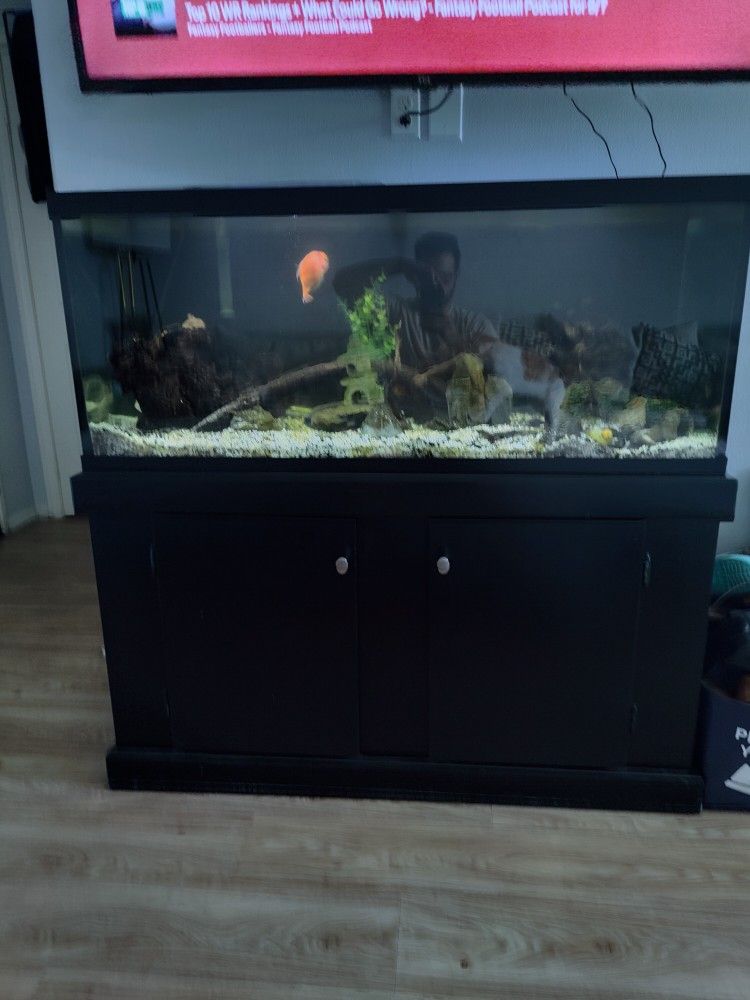75 gl Aquarium + Accessories