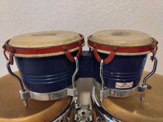 Bongo
