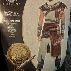 Men’s Halloween costume