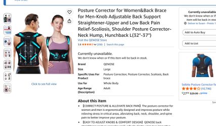 Back brace