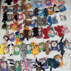 TY Beanie Babies With Matching Teenie Weenie Beanie Babies 