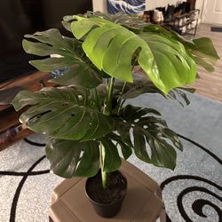 Fake Monstera Houseplant 