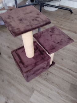 Cat Condo