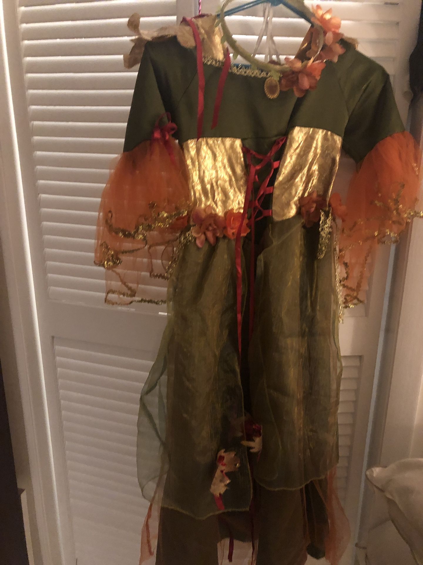 Girl Fairy costume